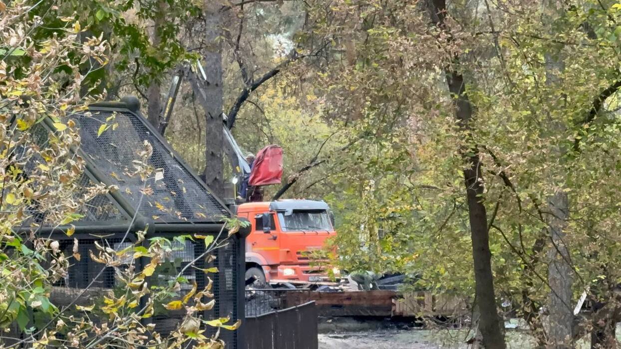 Что происходит в Новосибирском зоопарке после мощного пожара: фоторепортаж с места ЧП