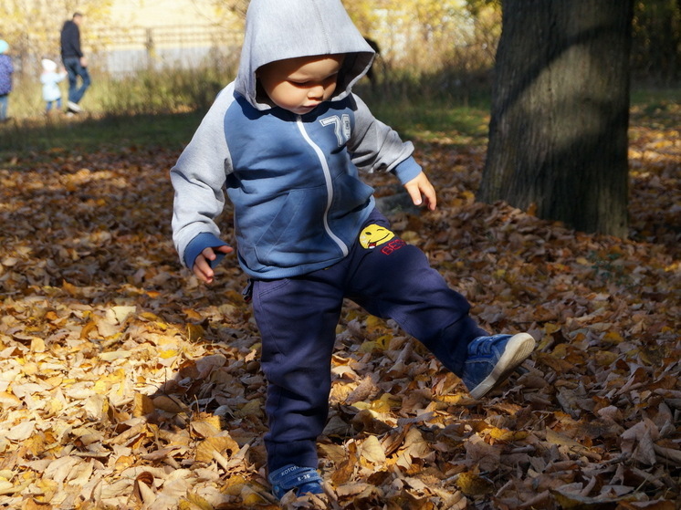 Осень с характером: октябрь-2025 готовит россиянам неприятный сюрприз - к чему следует готовиться?