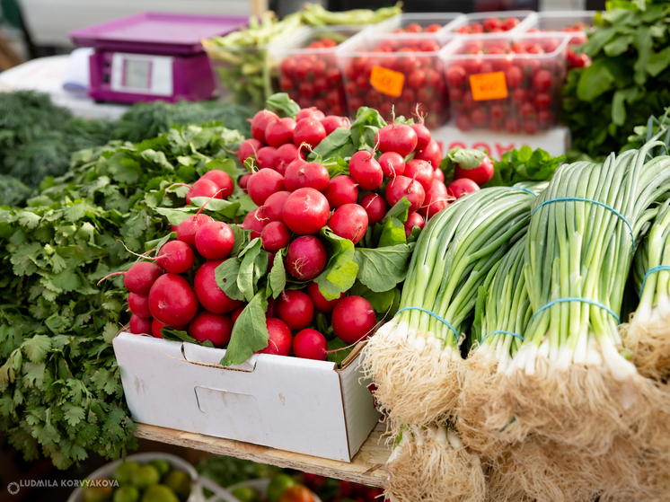 В Карелии зафиксировано снижение цен на продукты и транспортные услуги