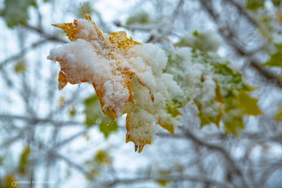Nevicata imminente in Carelia: previsioni meteorologiche e consigli per la sicurezza stradale