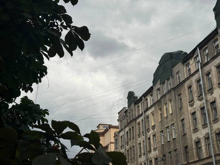 Петербуржцев в среду ждут дожди и непривычный для сентября холод