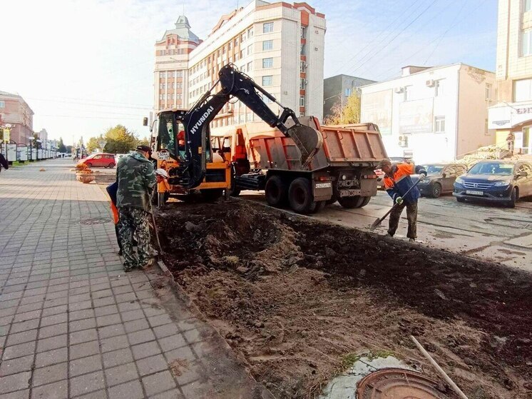 Плодородный грунт и новые ограждения: в Омске благоустраивают Аллею Строителей