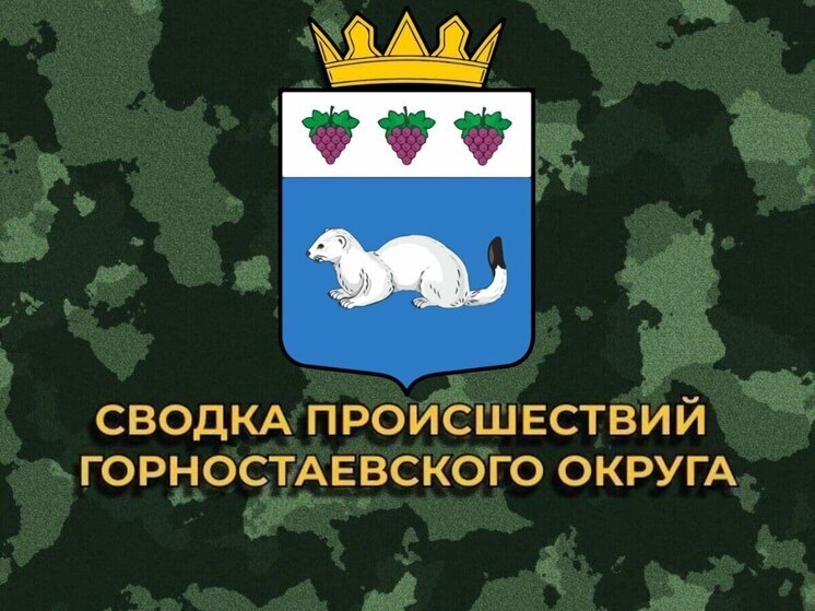 За сутки ВСУ 35 раз обстреляли Горностаевский округ Херсонской области
