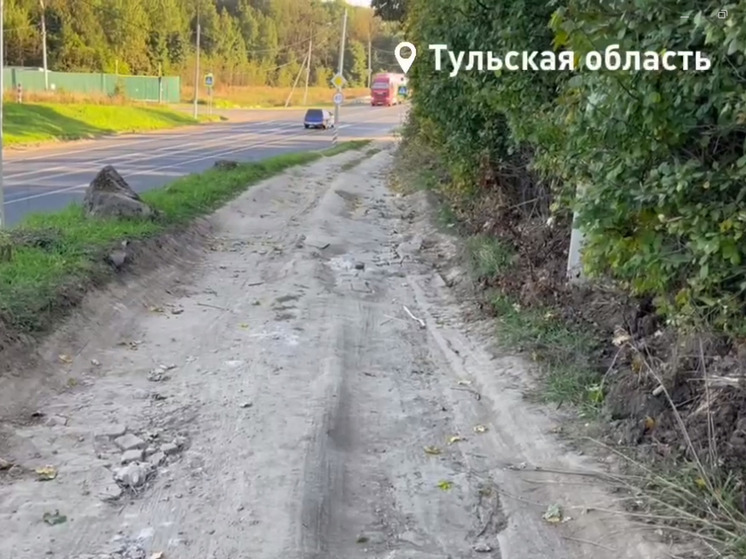  Тульский ОНФ нашел в Самохваловке отрезанные от цивилизации многодетные семьи