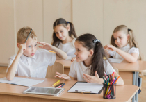 На заседании комиссии по социальной сфере в городе Кирове обсуждались вопросы, касающиеся обеспечения школ педагогическими кадрами, а также итоги набора в первые и десятые классы