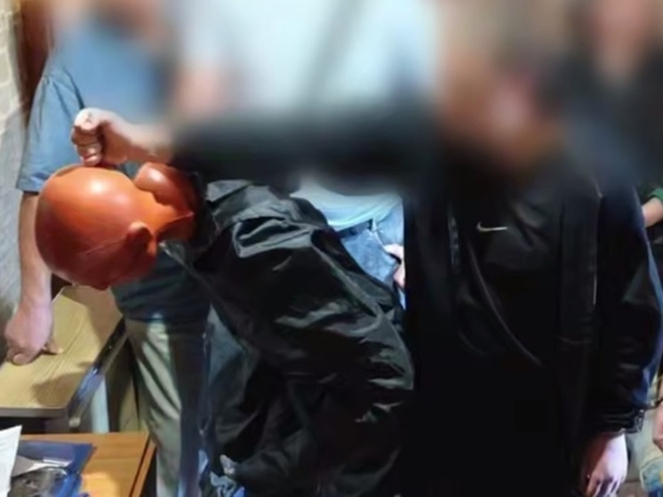 Задержаны несовершеннолетние за убийство пенсионеров в Стаханове