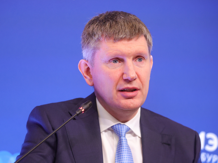 Решетников: нужно разрабатывать новую конструкцию самозанятости