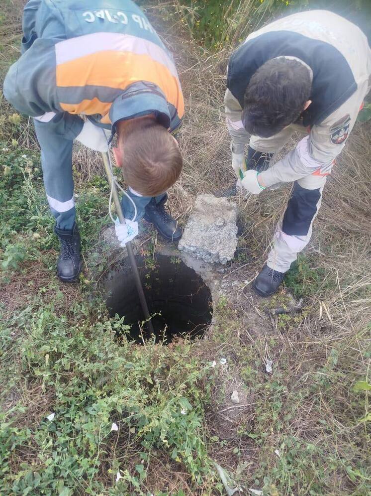 В Сочи спасли лабрадора и его хозяина из колодца