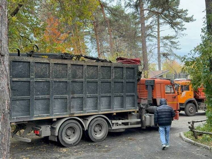 Спасательная операция в Новосибирском зоопарке: итоги ночного пожара