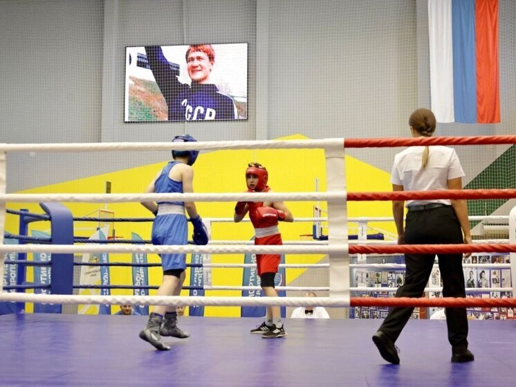 Боксеры из 25 регионов России борются за звания в Невинномысске