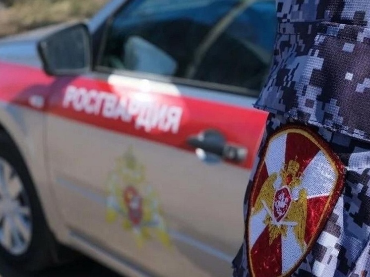 В Котласе росгвардейцы задержали магазинную воровку