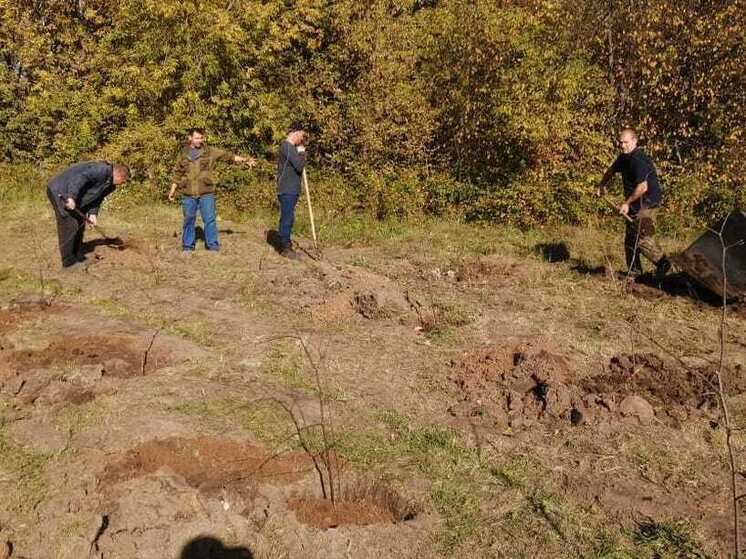 В Омской области продолжается акция «Сохраним лес»