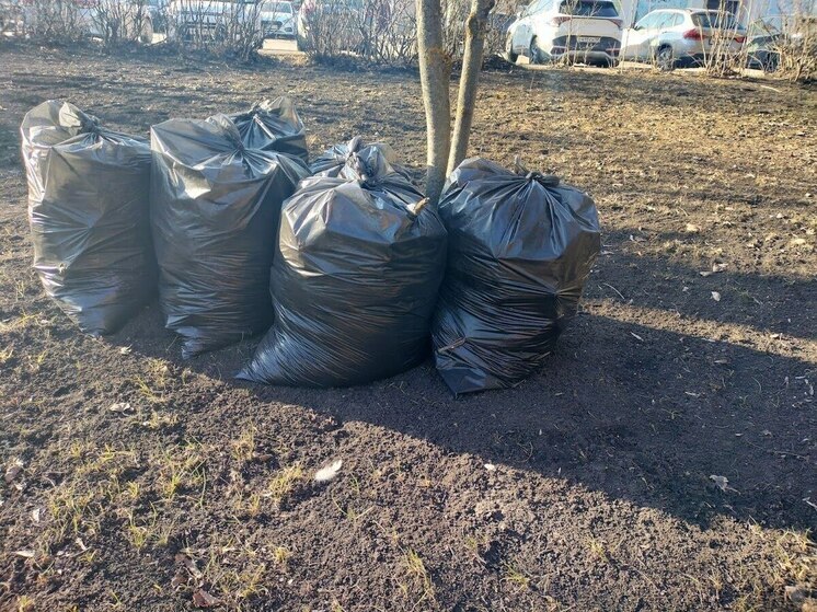 В Пачелме на поддержание порядка мемориала «Славы», парка и центральной площади выделили 600 тысяч рублей