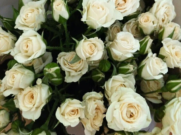 Владимир Путин отметил девять белгородцев госнаградами