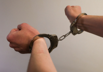 В Японии студент арестован по подозрению в попытке убить собственного дядю, подмешав ядовитые листья олеандра в его суп
