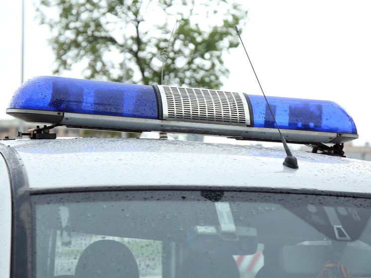 Соседка подожгла дверь квартиры в Воскресенске из-за кражи собаки: хозяйка погибла