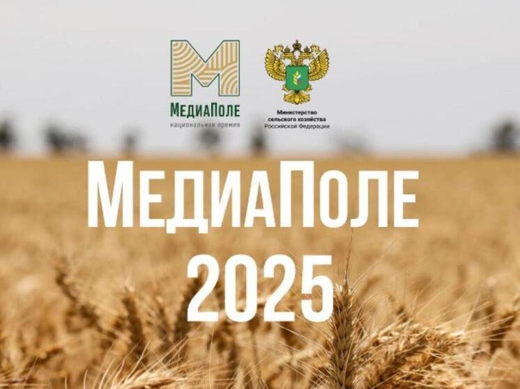 Пензенские авторы смогут представить регион на национальной премии «МедиаПоле»