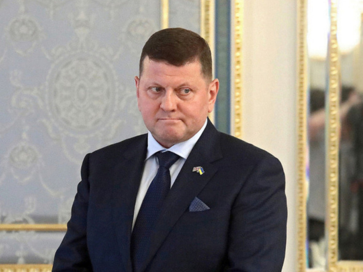 Залужный: цена действий ВСУ на Курском направлении была слишком высокой