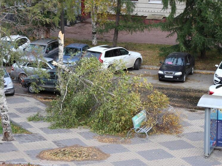 Баржу сорвало, знаки повалило: Архангельск пережил ураганный ветер