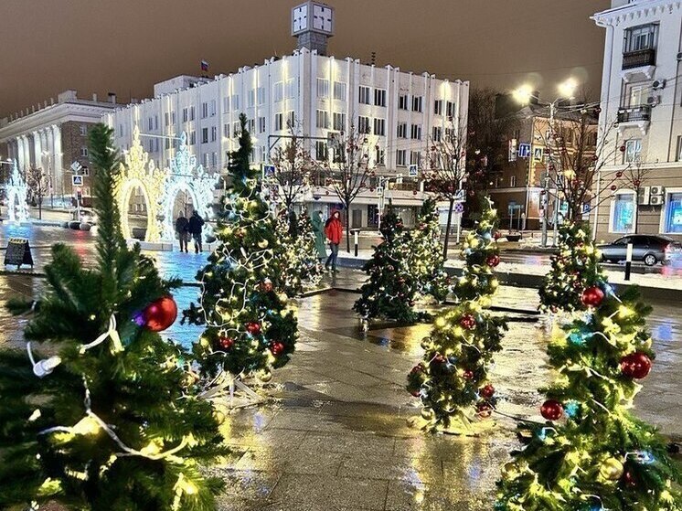 В новогодние праздники белгородцы будут отдыхать 12 дней