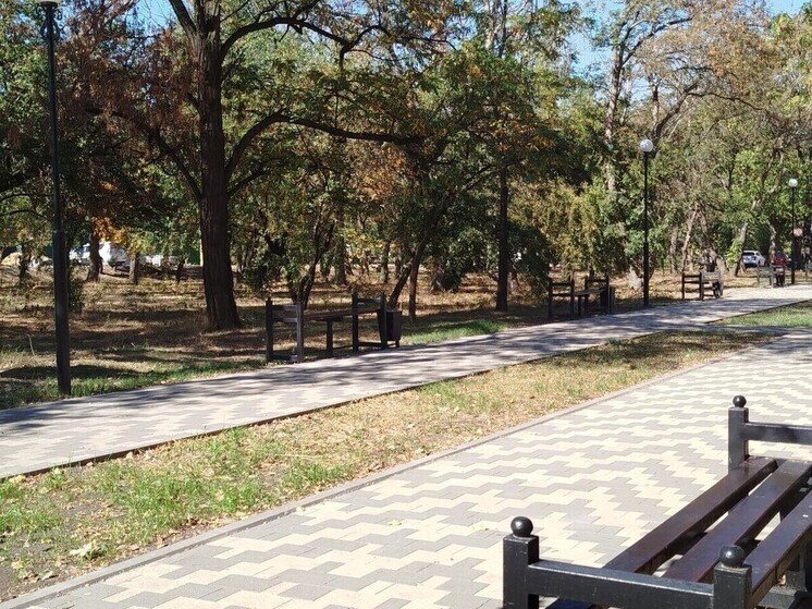 Специалисты благоустроили территорию Гончаровского пруда № 1 в Брянке