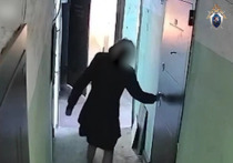 Сразу два жестоких убийства, совершенных одним и тем же, «огненным», способом, раскрыли по горячим следам сотрудники полиции и следователи в Москве и Подмосковье