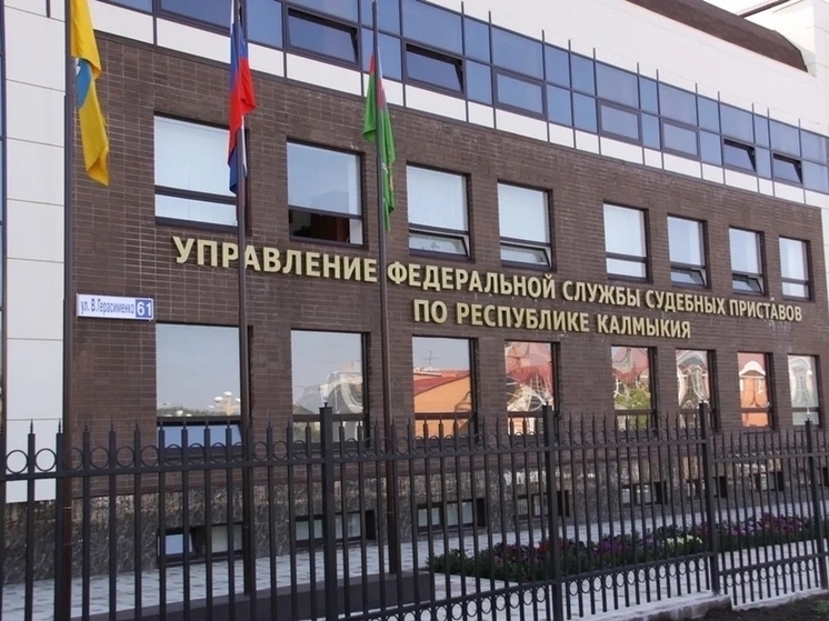 Житель Калмыкии поплатился за нарушение прав на «Чебурашку»