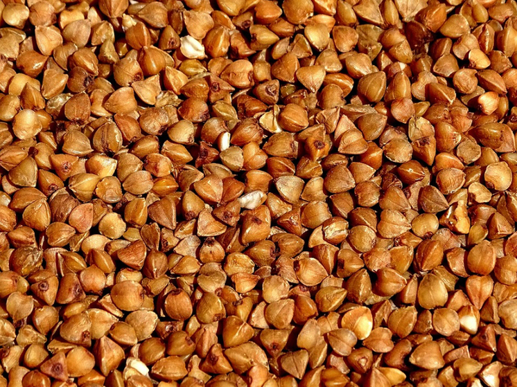 Более 100 тонн орловской гречки отправят на экспорт в 3 страны