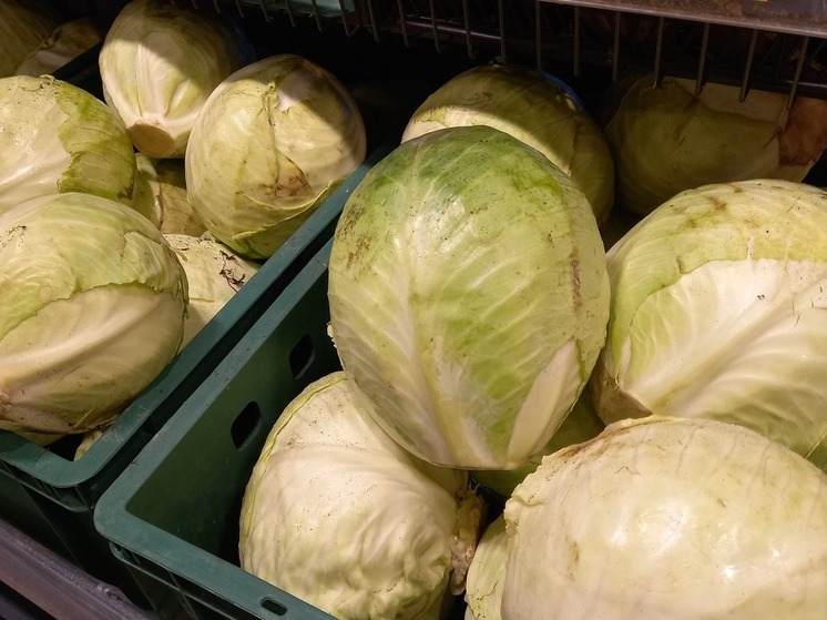 Россиянам рассказали, какие блюда можно приготовить из капусты