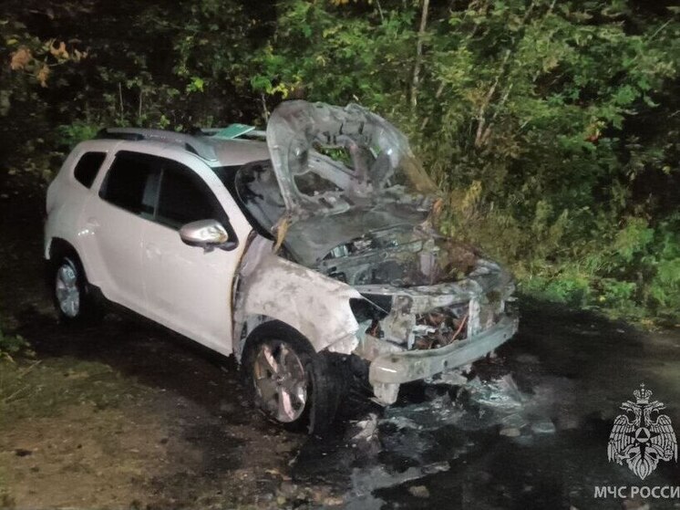Возбуждено уголовное дело по факту массового поджога автомобилей в Иванове