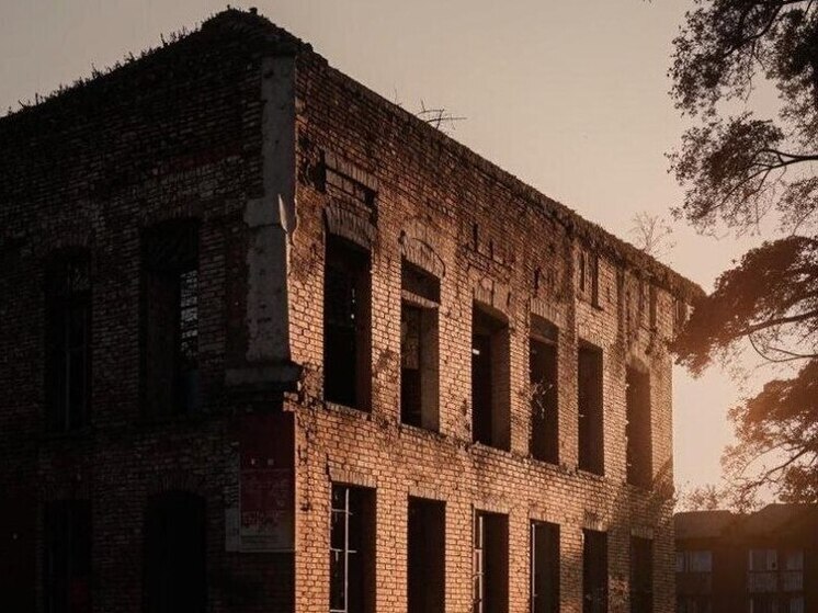 Воронежцам рассказали, зачем кирпичами заложили окна общежития ВГТУ