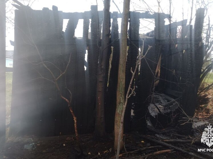 Жилой дом и гараж горели в Томской области в минувшие сутки