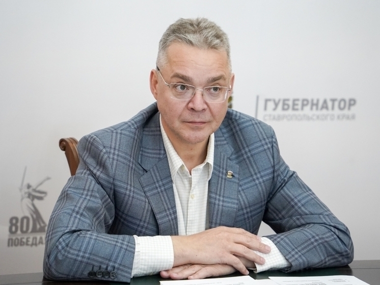 Владимир Владимиров обсудил со ставропольским бизнесом новые меры поддержки
