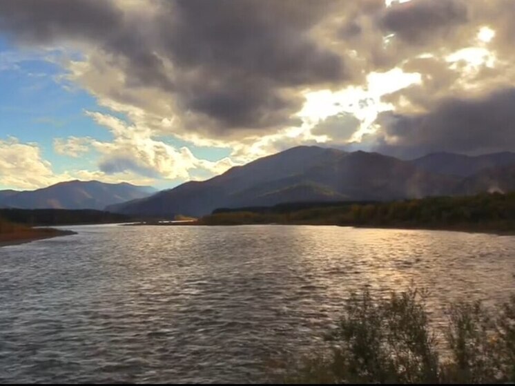 Глава Минприроды Хакасии поехал в Абазу на медвежий патруль