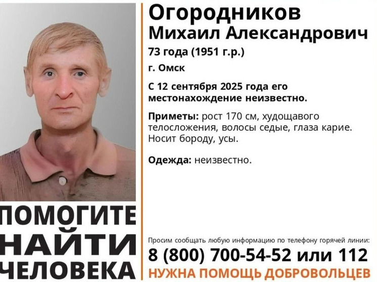 В Новосибирске ищут 73-летнего омича