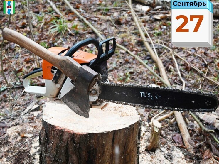 Жителей тарусского села приглашают в администрацию рубить дрова