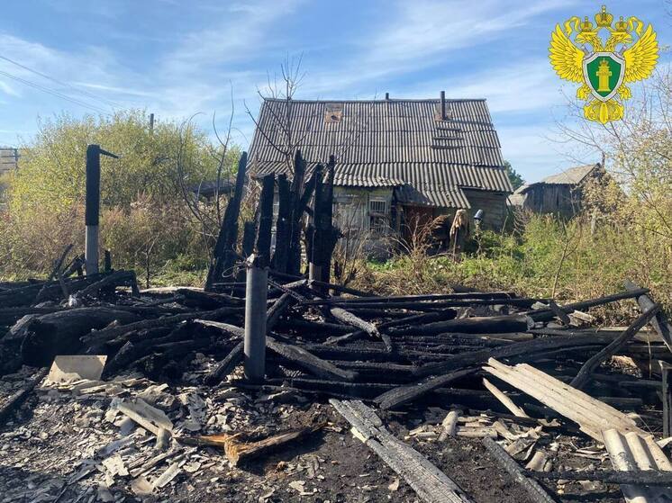 Жительница Никольского района подожгла дом соседей в отместку за уголовное дело