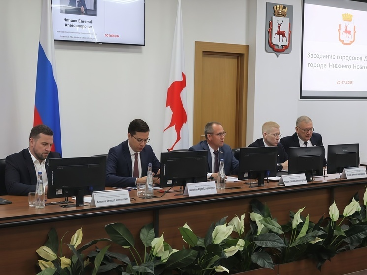 В нижегородской думе создадут 10 комиссий