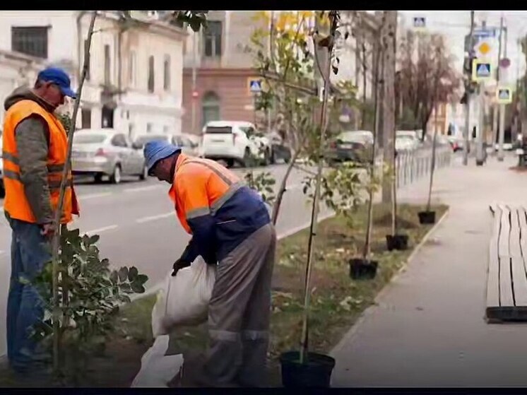 В Саратове на Первомайской появилась новая роща