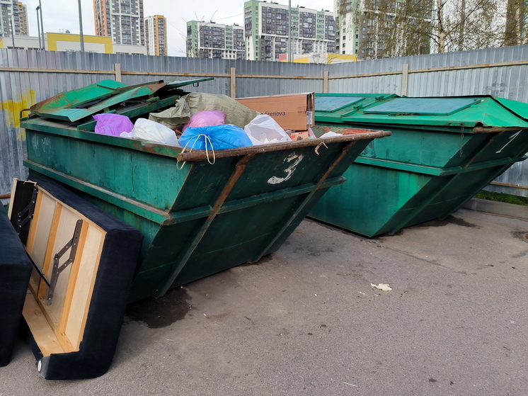 Юрист Сееновский: выброшенный в неположенном месте мусор грозит штрафом до 3 тысяч рублей