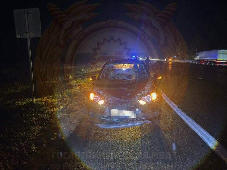 На трассе в Татарстане водитель легковушки насмерть сбил человека