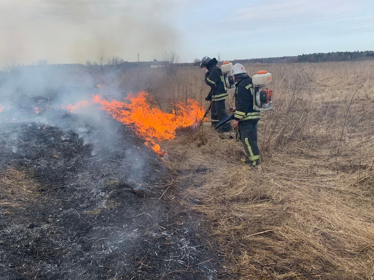 В Ростовской области объявлен высокий класс пожароопасности