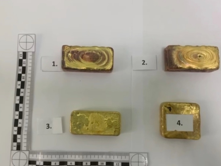 Иностранца поймали со слитками золота, который он пытался вывезти из Забайкалья
