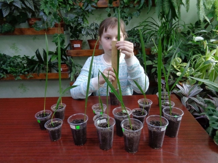 Натуралисты из Ярцева стали лучшими в регионе