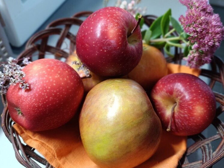 В Нальчике пройдет гастрономический фестиваль, посвященный яблоку