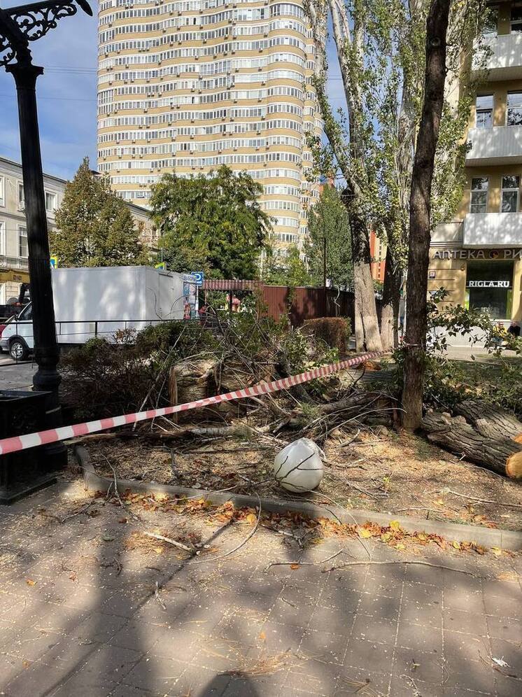 В Ростове из-за сильного ветра на Пушкинской упало огромное дерево