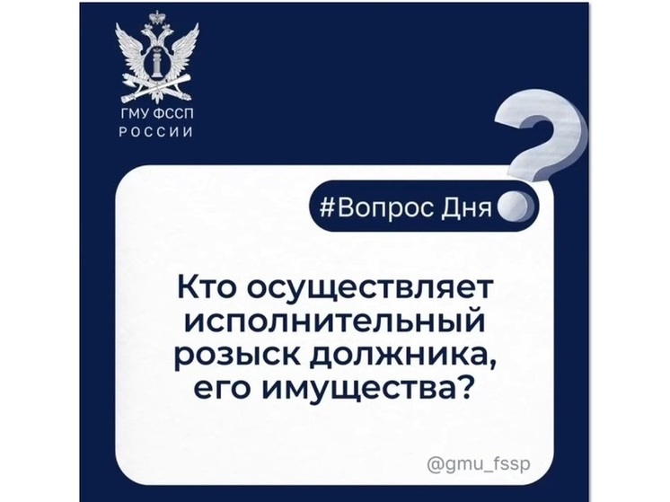Кто осуществляет исполнительный розыск должника, его имущества