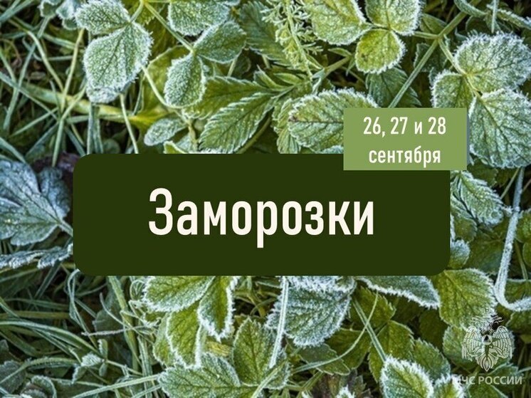 Жителей Херсонской области предупредили о заморозках