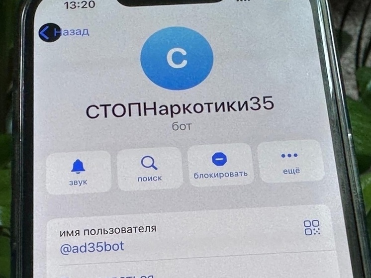 Вологжане отправили более 1,5 тысячи сообщений о рекламе запрещенных веществ