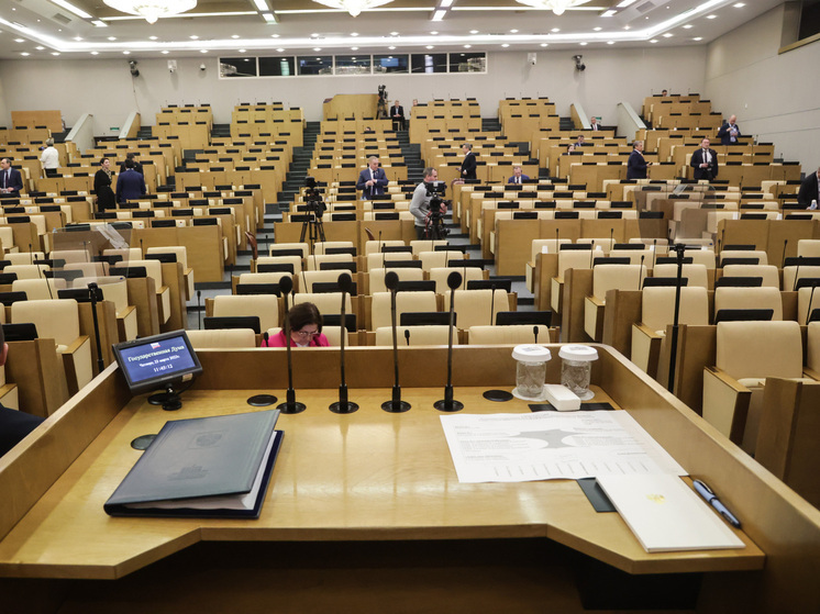 Зампредом Счетной палаты Дума назначила Галину Изотову